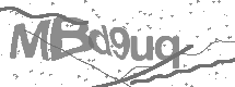 visual captcha